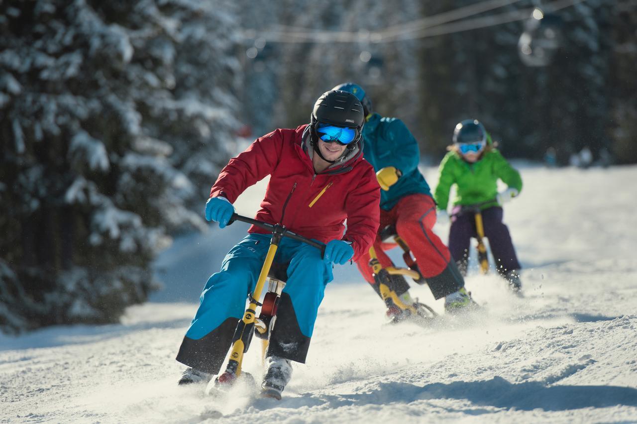 Lisa-Chalets Flachau Dış mekan fotoğraf